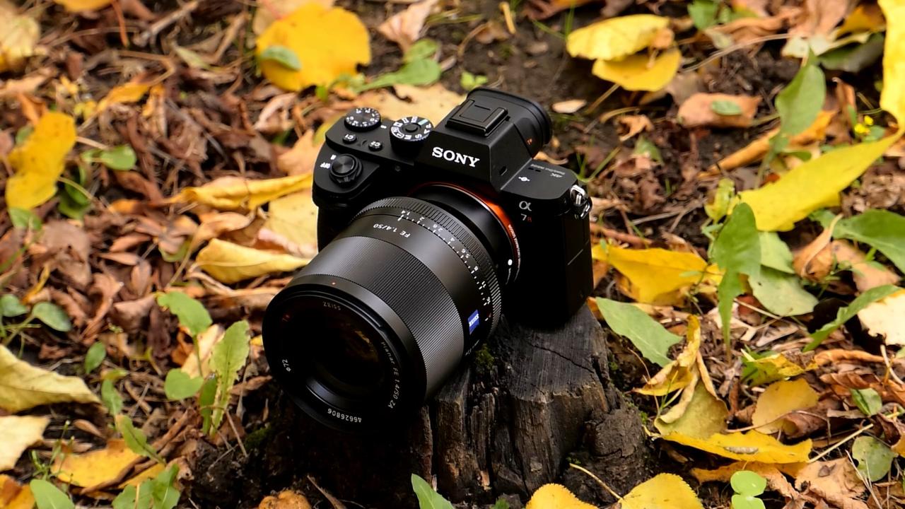 Обзор полнокадровой беззеркальной фотокамеры Sony α7R II