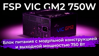 Обзор блока питания FSP VIC GM2 750W